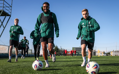 GALERIA | STAŁE FRAGMENTY POD&nbsp;LUPĄ