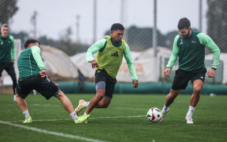 VLOG #3 | Third day of training, birthdays and hard work