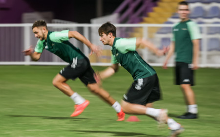 Preparations of the White-Greens in Al Ain